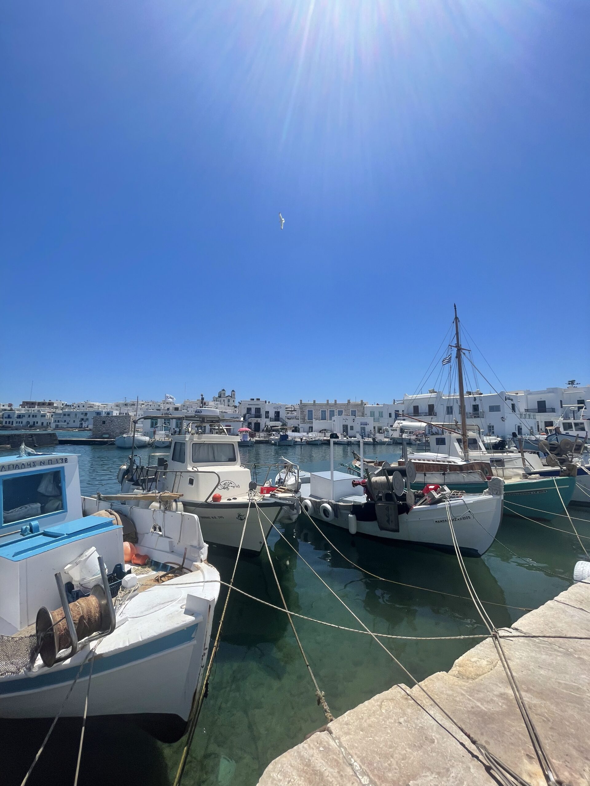 IMG_6047 Port calme avec bateaux sous ciel bleu